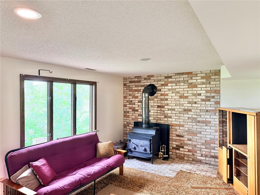 24106 Walnut Drive Bancroft Twp MN 56007 7078612 image28