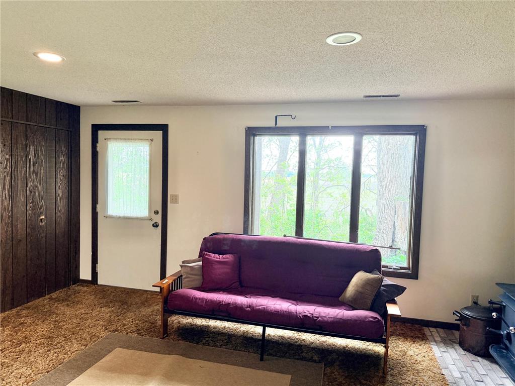 24106 Walnut Drive Bancroft Twp MN 56007 7078612 image29