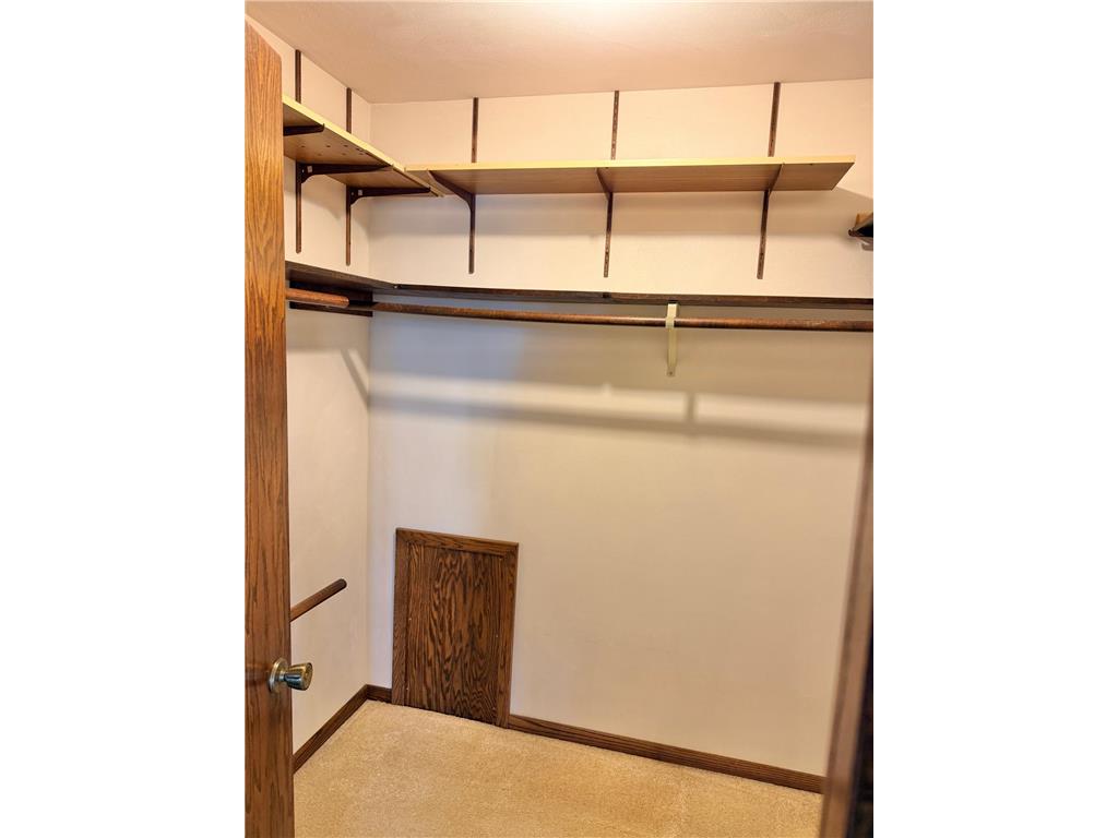 24106 Walnut Drive Bancroft Twp MN 56007 7078612 image39
