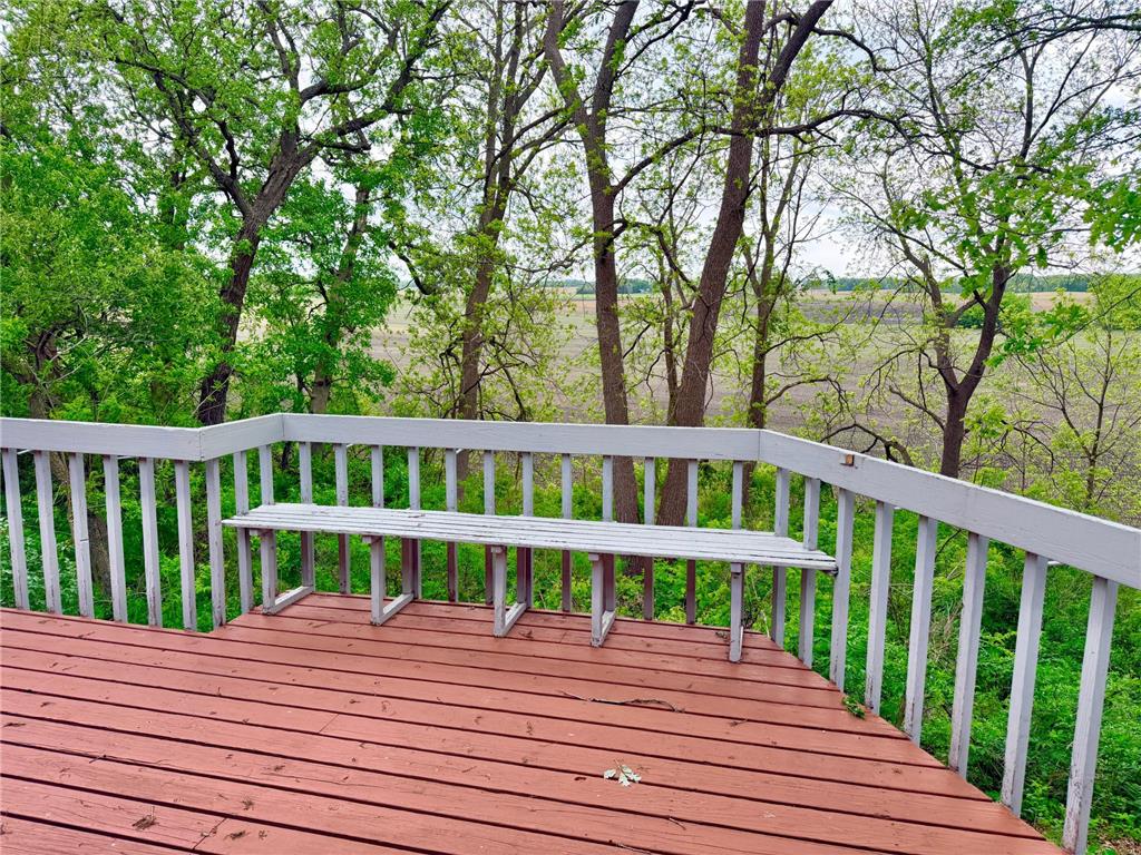24106 Walnut Drive Bancroft Twp MN 56007 7078612 image7