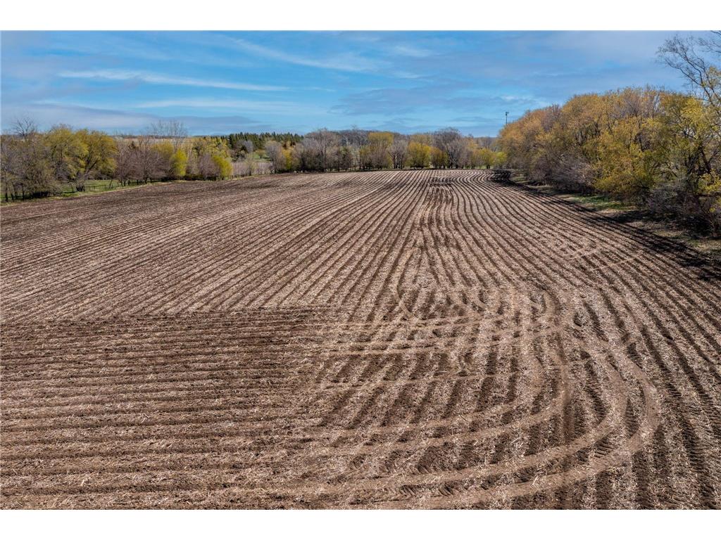 2413 Albion Avenue Fairmont MN 56031 6715633 image3