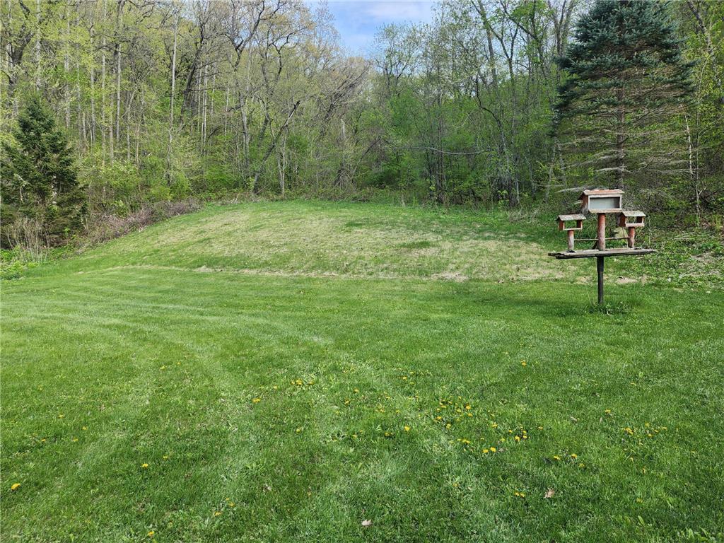 24141 Homer Valley Road Winona MN 55987 7069283 image18