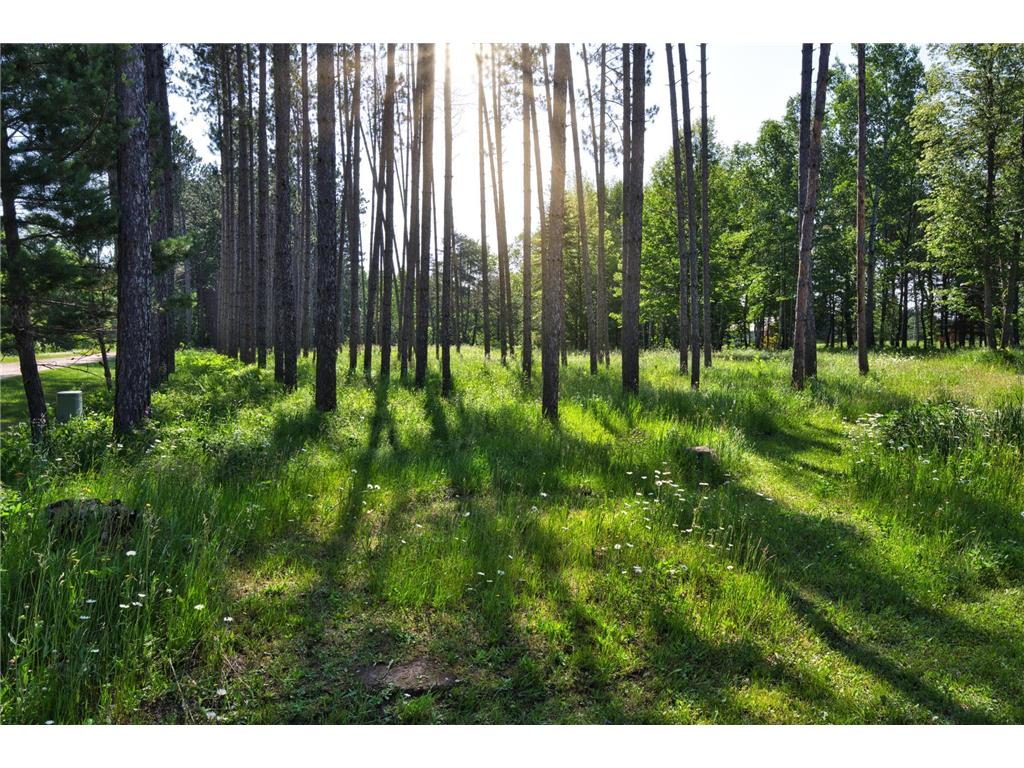 24147 Maple Drive W Bovey MN 55709 6686146 image49