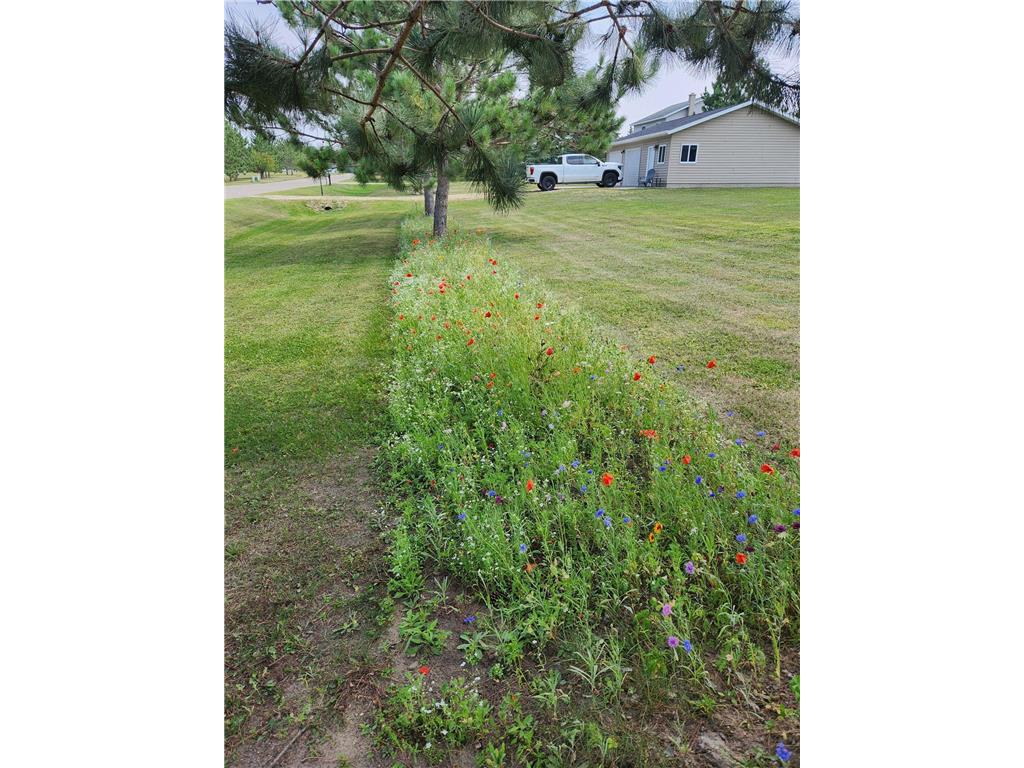2416 Pearl Drive NE Northern Twp MN 56601 7054294 image52