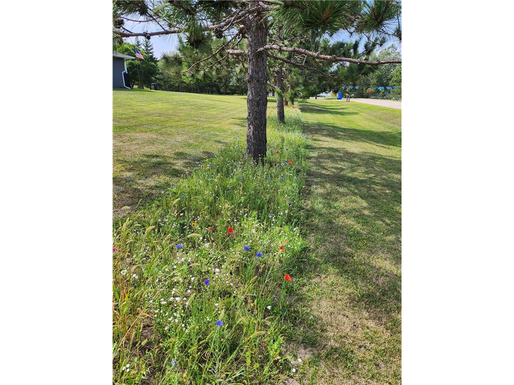 2416 Pearl Drive NE Northern Twp MN 56601 7054294 image6