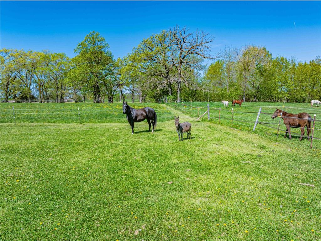 24166 Langford Avenue Jordan MN 55352 - Cedar 7065725 image27