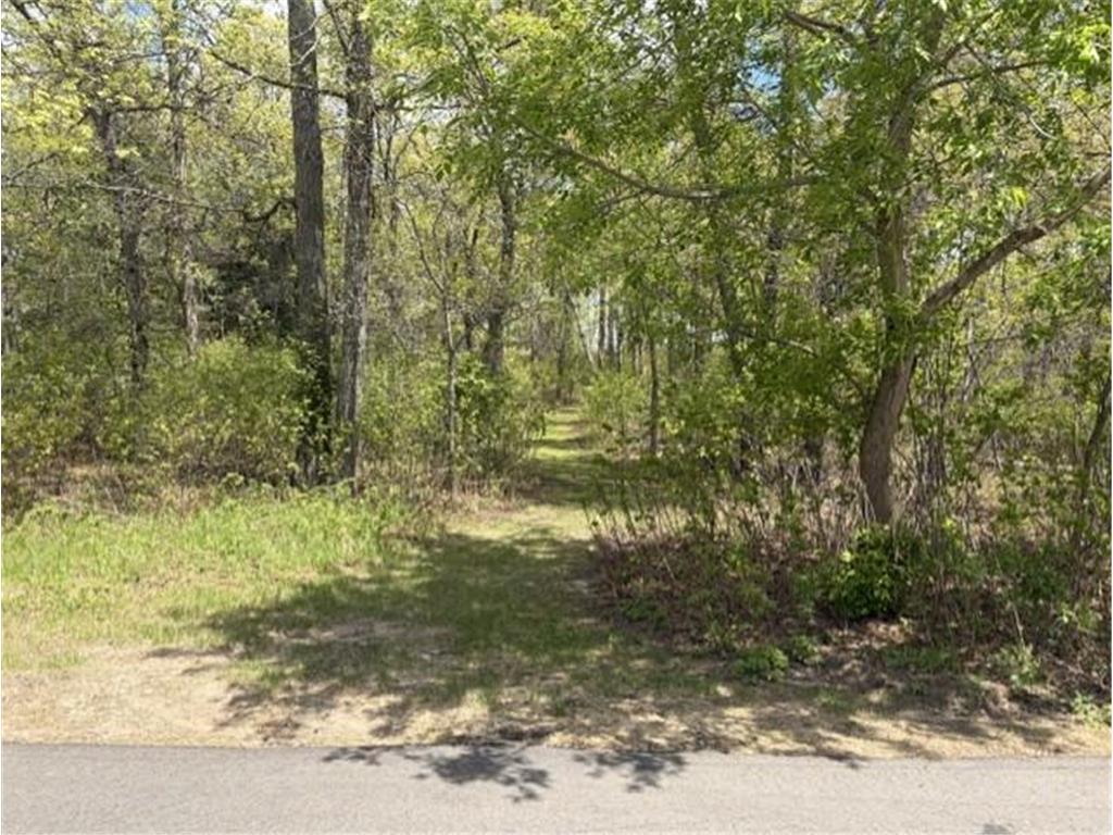 24175 White Pine Drive Nisswa MN 56468 - FISH TRAP 7069810 image50