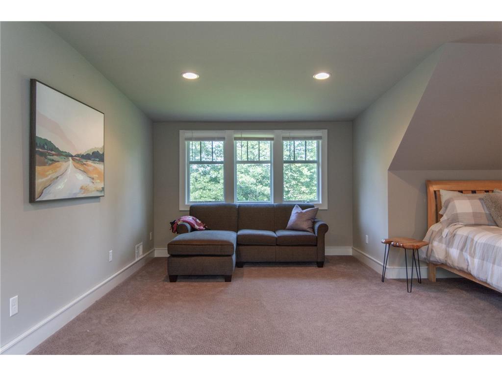 24197 Willow Circle Nisswa MN 56468 7004852 image46