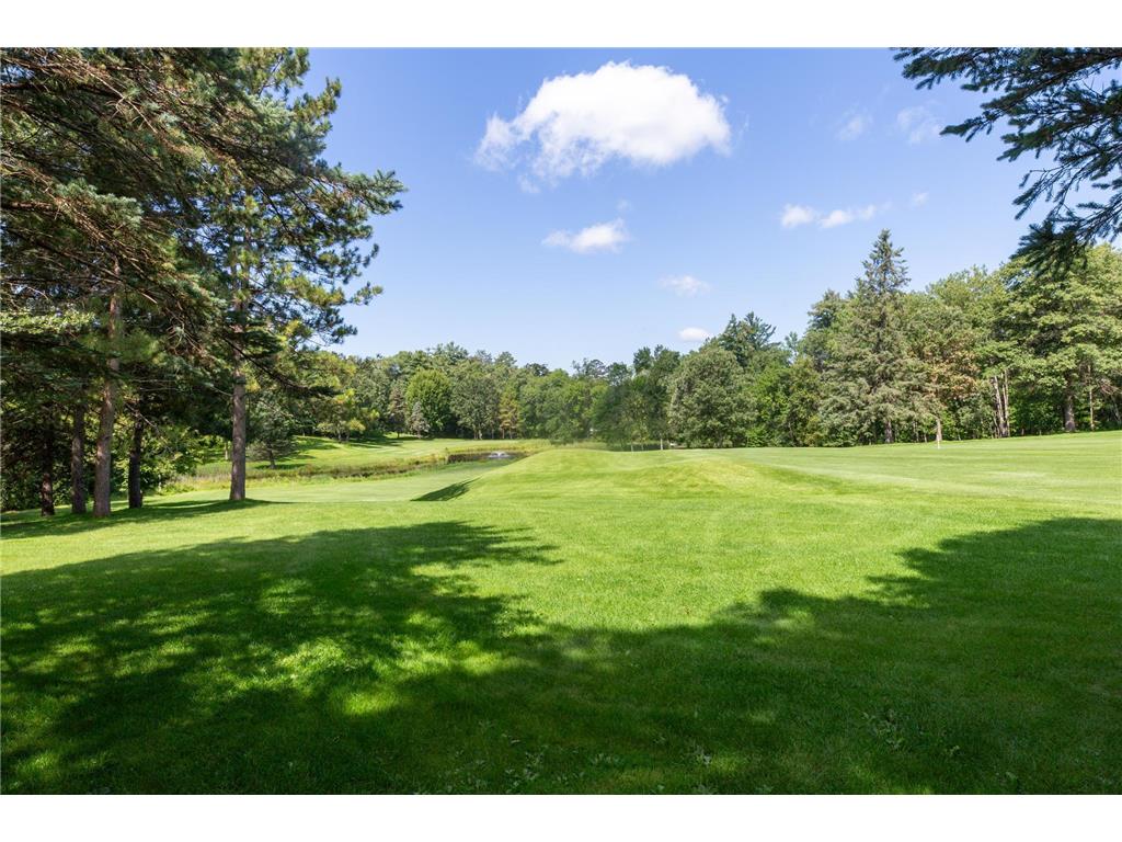 24197 Willow Circle Nisswa MN 56468 7004852 image68