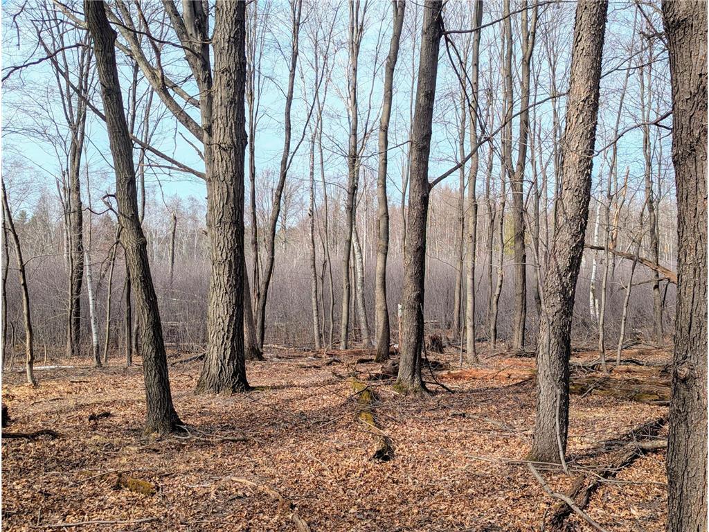 241xx Thames Street NE Linwood Twp MN 55079 6695282 image1