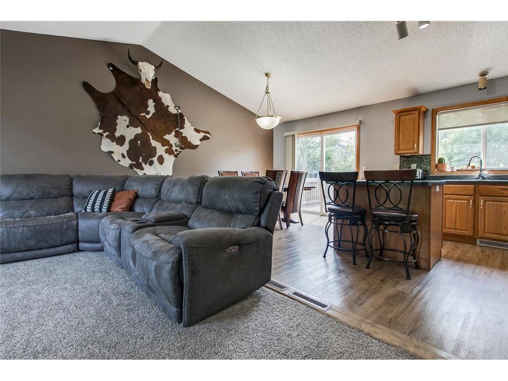 242 Mac Street, Elko New Market, MN 55054 MLS 6220690 Edina Realty