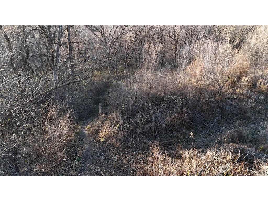 2421 East River Road NE Rochester MN 55906 - Zumbro River - South Fork 7069560 image14