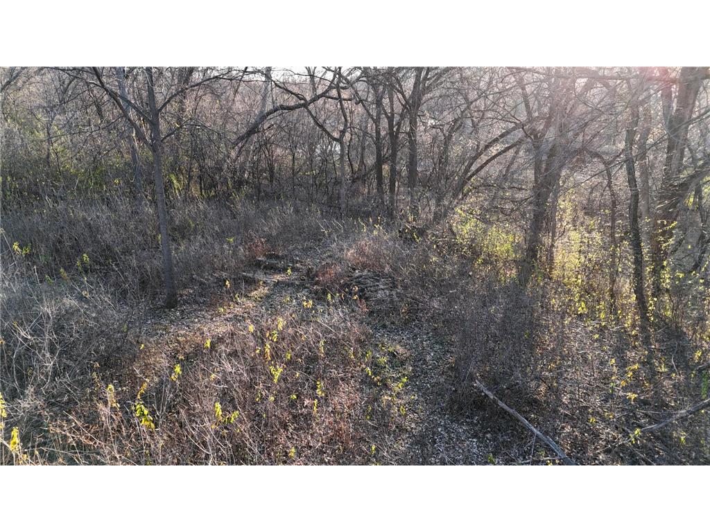 2421 East River Road NE Rochester MN 55906 - Zumbro River - South Fork 7069560 image15