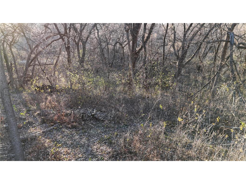2421 East River Road NE Rochester MN 55906 - Zumbro River - South Fork 7069560 image17