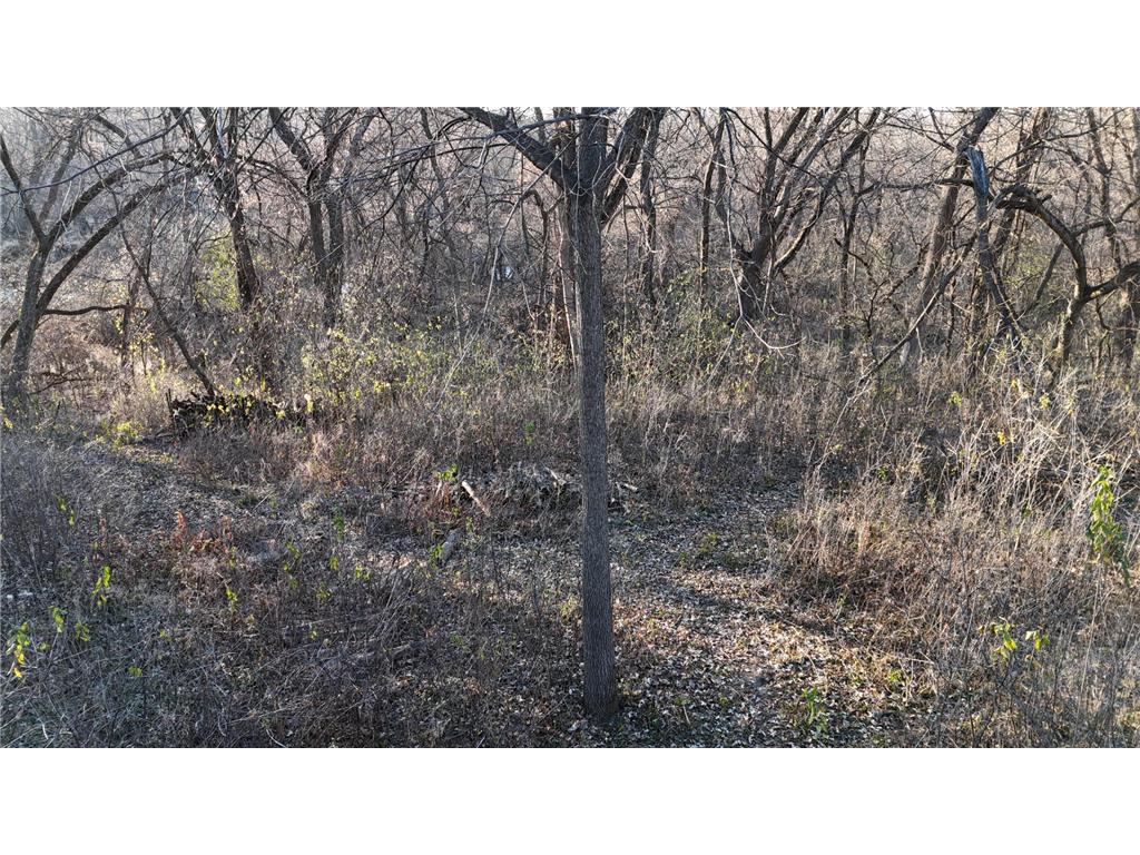 2421 East River Road NE Rochester MN 55906 - Zumbro River - South Fork 7069560 image18