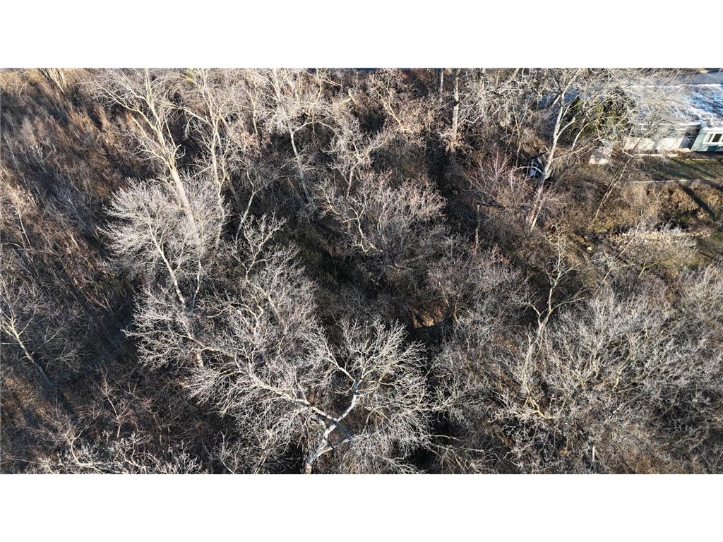 2421 East River Road NE Rochester MN 55906 - Zumbro River - South Fork 7069560 image19