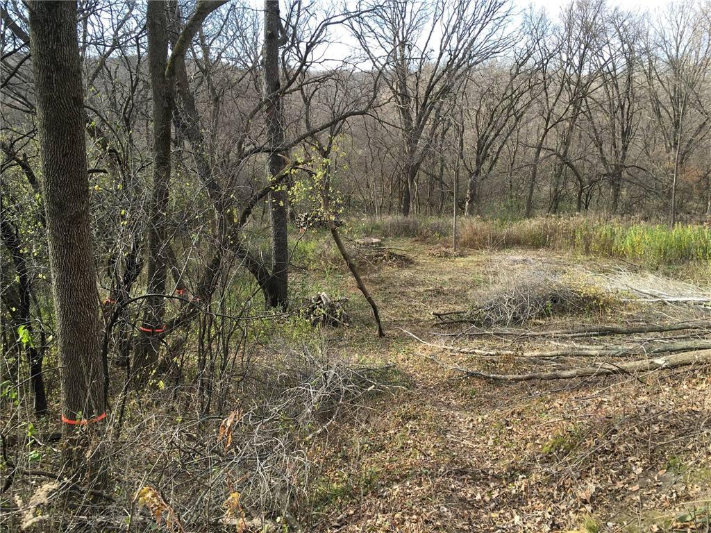 2421 East River Road NE Rochester MN 55906 - Zumbro River - South Fork 7069560 image6