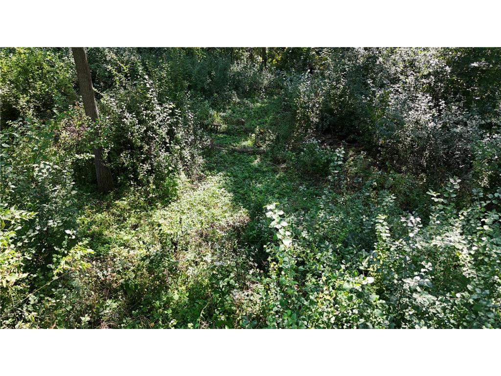 2421 East River Road NE Rochester MN 55906 - Zumbro River - South Fork 7069560 image7