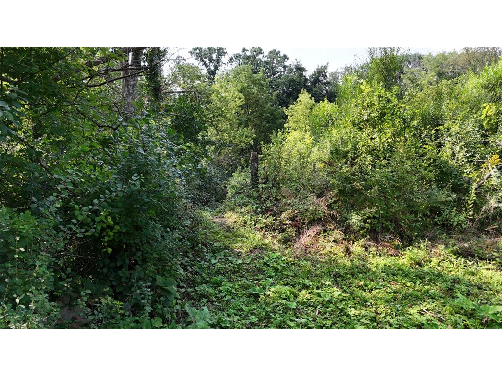 2421 East River Road NE Rochester MN 55906 - Zumbro River - South Fork 7069560 image8