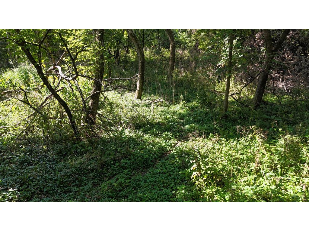 2421 East River Road NE Rochester MN 55906 - Zumbro River - South Fork 7069560 image9