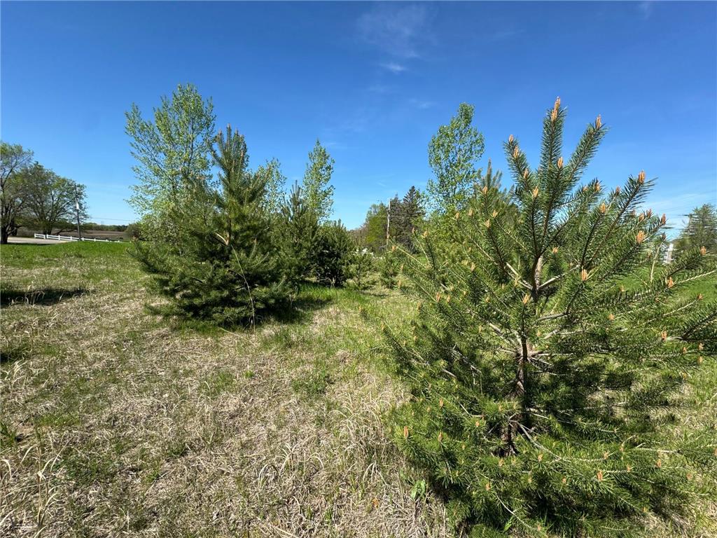 2421 Oak Preserve Court Saint Cloud MN 56304 6730507 image3