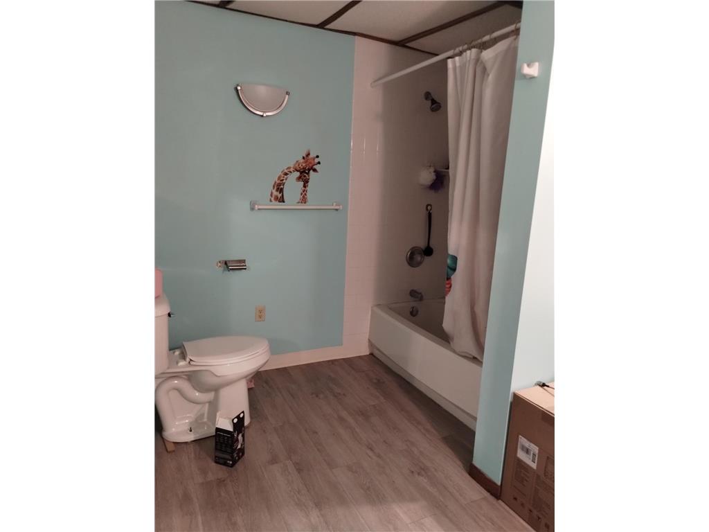 2424 Olympic Street Whited Twp MN 55007 7058057 image35