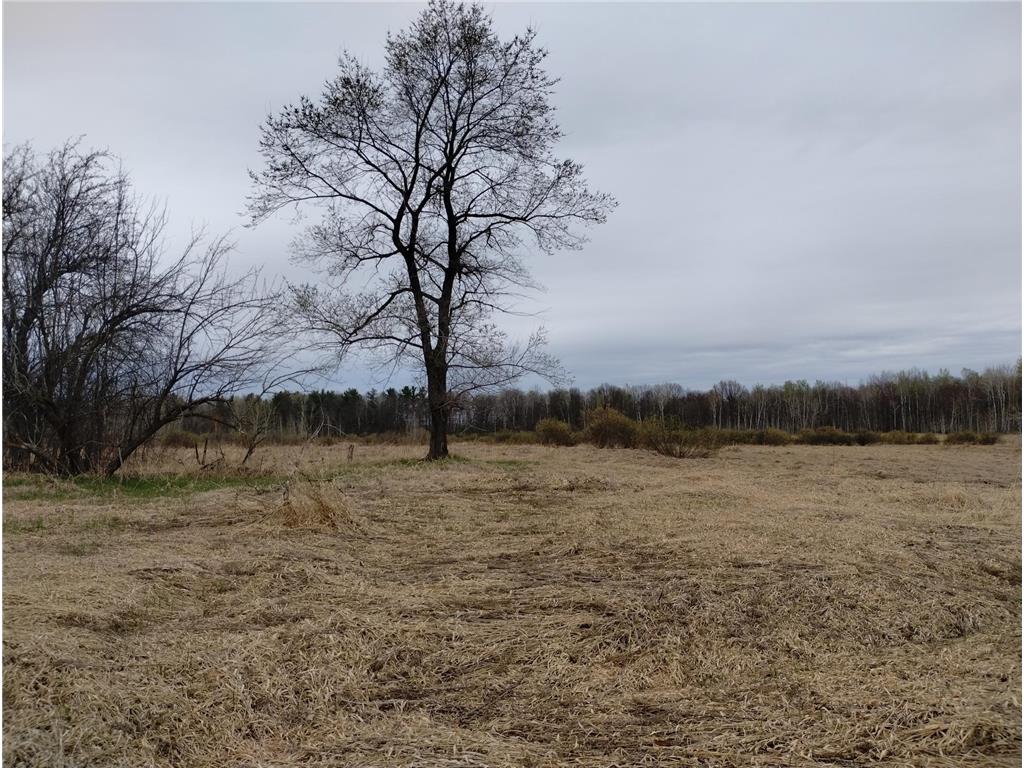 2424 Olympic Street Whited Twp MN 55007 7058057 image54