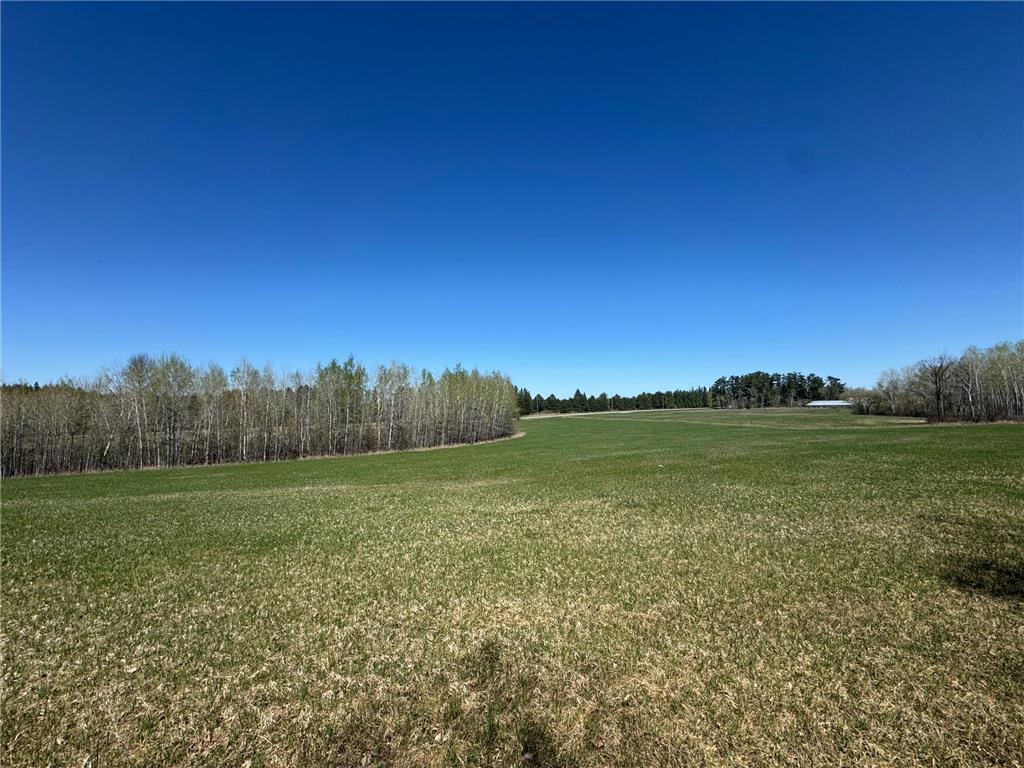 24282 315th Avenue Akeley MN 56433 6721030 image1