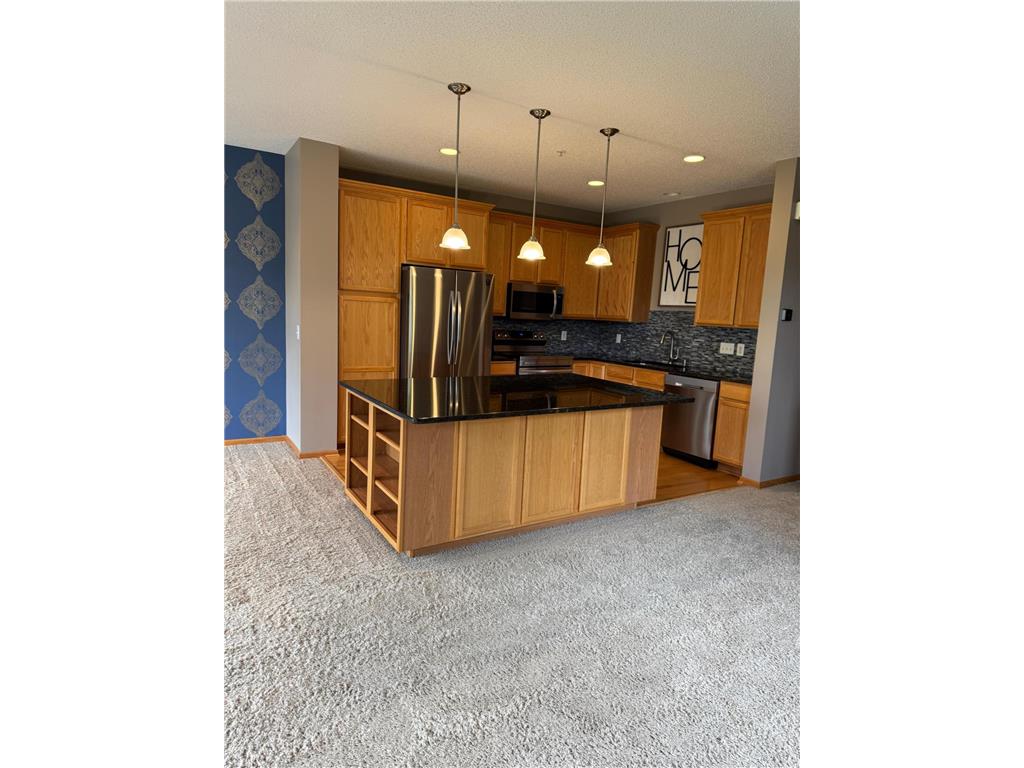 2429 121st Circle NE #L Blaine MN 55449 7086532 image18