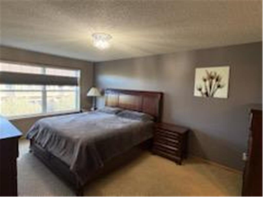2429 121st Circle NE #L Blaine MN 55449 7086532 image29