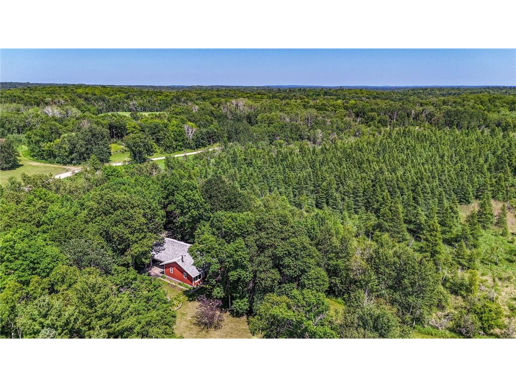 24290 NE Rock Lake Road Holmesville Twp MN 56578 - Rock 6744293 image1