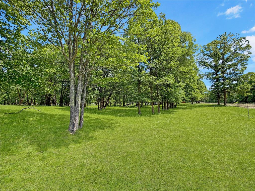 24301 Obrien Creek Road NE Hines MN 56647 7071104 image69
