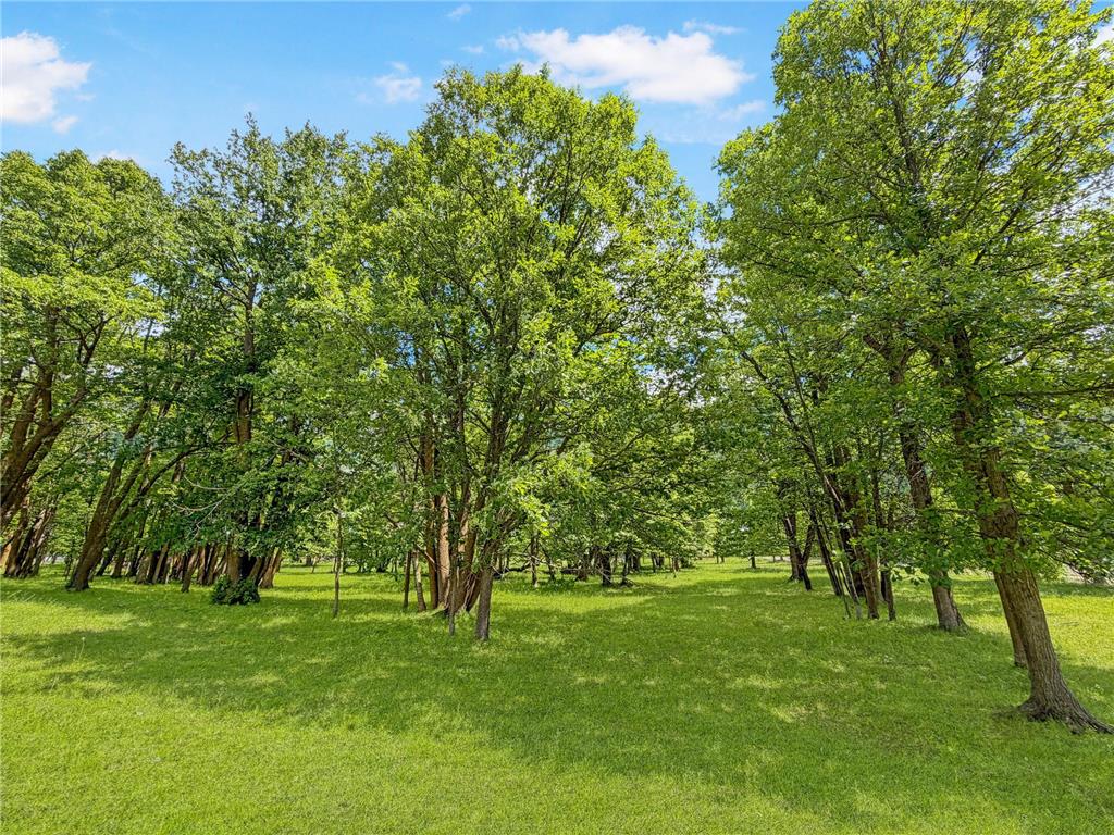 24301 Obrien Creek Road NE Hines MN 56647 7071104 image70