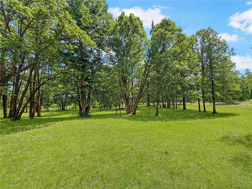 24301 Obrien Creek Road NE Hines MN 56647 7071104 image71