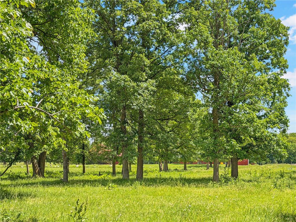 24301 Obrien Creek Road NE Hines MN 56647 7071104 image72