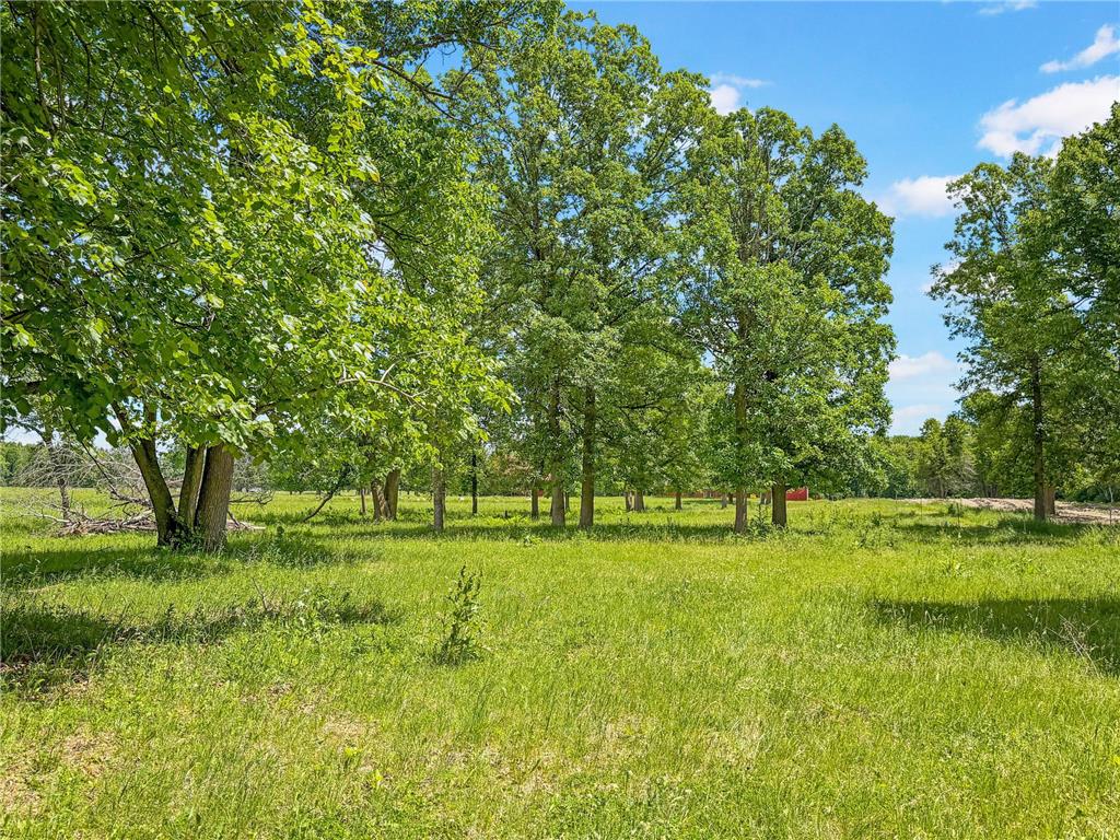 24301 Obrien Creek Road NE Hines MN 56647 7071104 image73