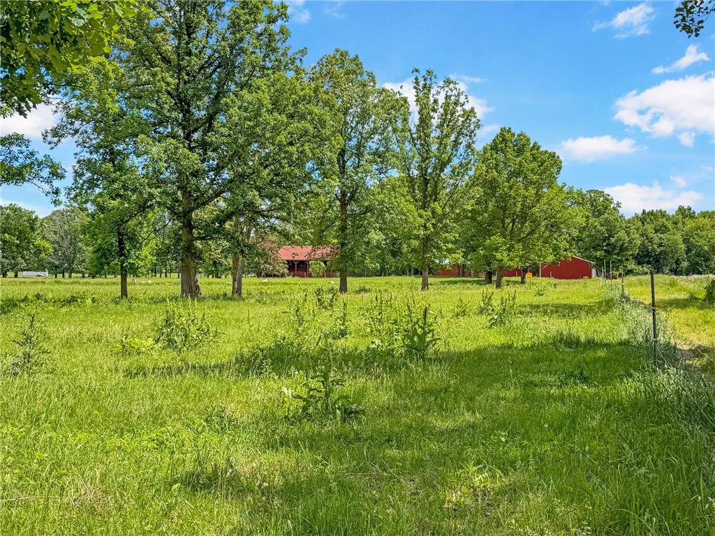 24301 Obrien Creek Road NE Hines MN 56647 7071104 image74