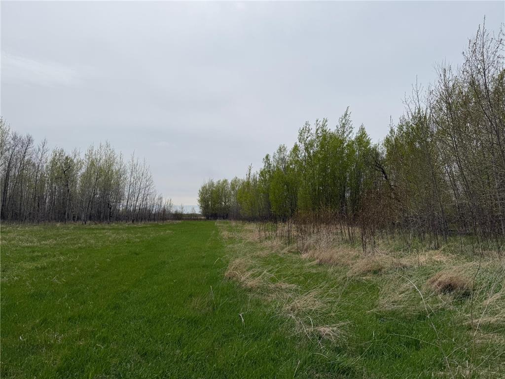 24306 County Road 6 Strathcona MN 56759 7080591 image36