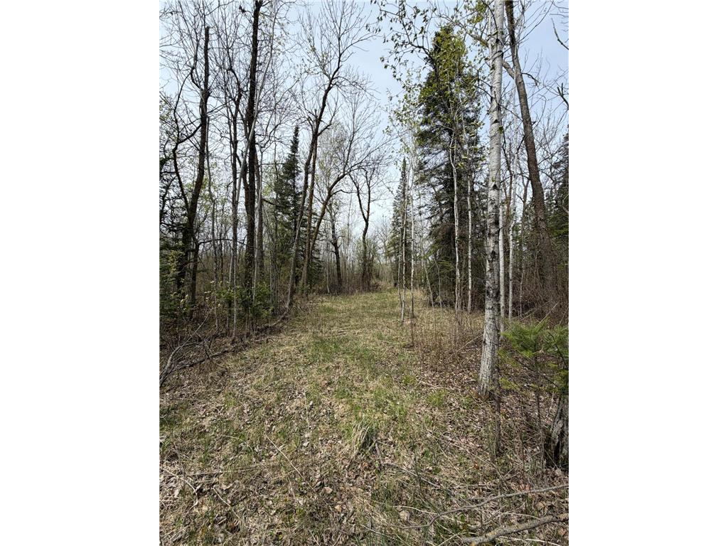 24306 County Road 6 Strathcona MN 56759 7080591 image37