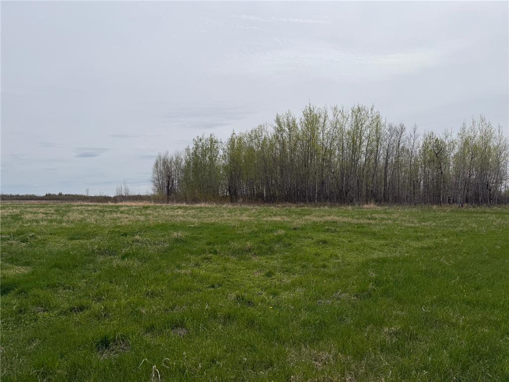 24306 County Road 6 Strathcona MN 56759 7080591 image38