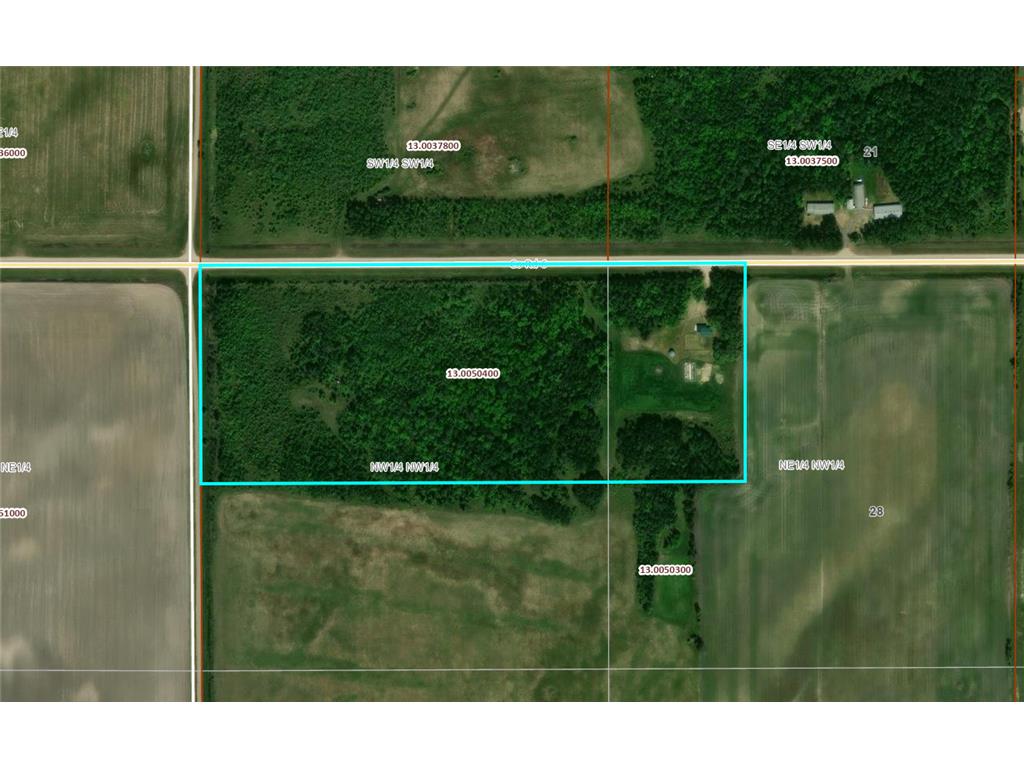 24306 County Road 6 Strathcona MN 56759 7080591 image39