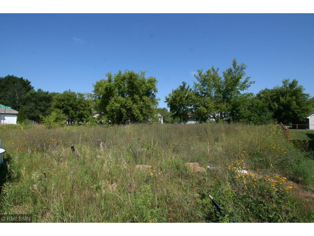 24317 Polk Street NE East Bethel MN 55005 6612536 image2