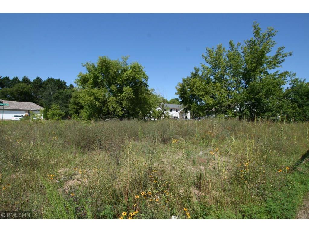 24317 Polk Street NE East Bethel MN 55005 6612536 image3