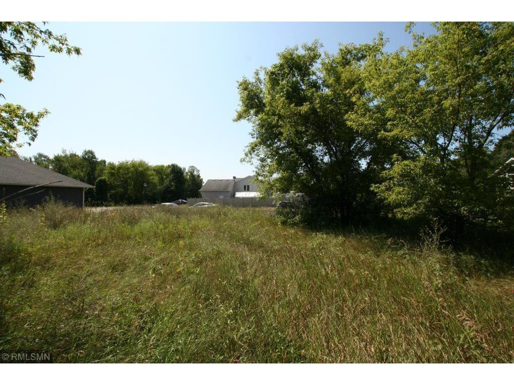 24317 Polk Street NE East Bethel MN 55005 6612536 image4