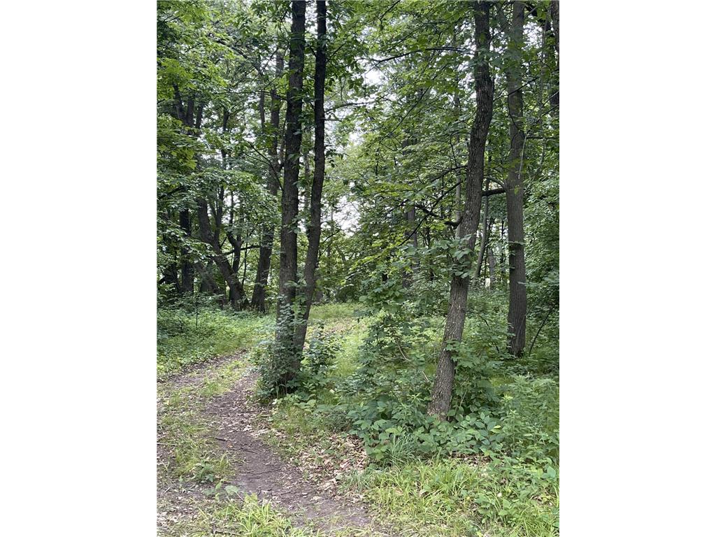24325 180th Street Paynesville MN 56362 - Rice 7048025 image12