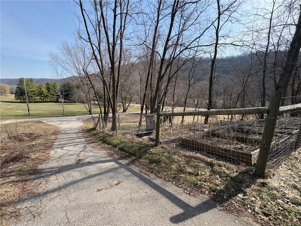 24345 E Burns Valley Road Wilson Twp MN 55987 7042659 image3