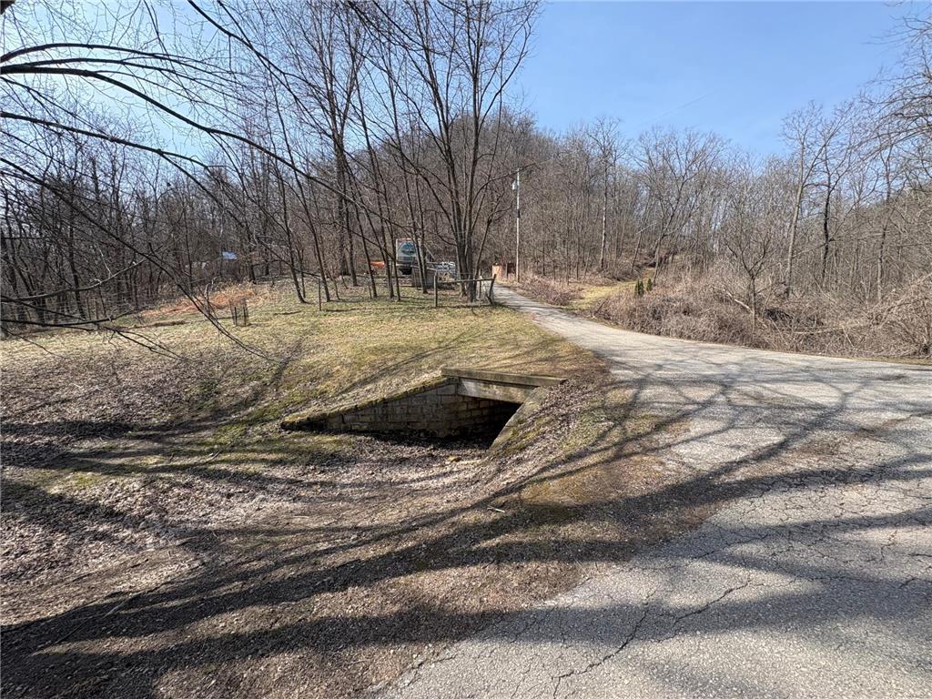 24345 E Burns Valley Road Wilson Twp MN 55987 7042659 image4