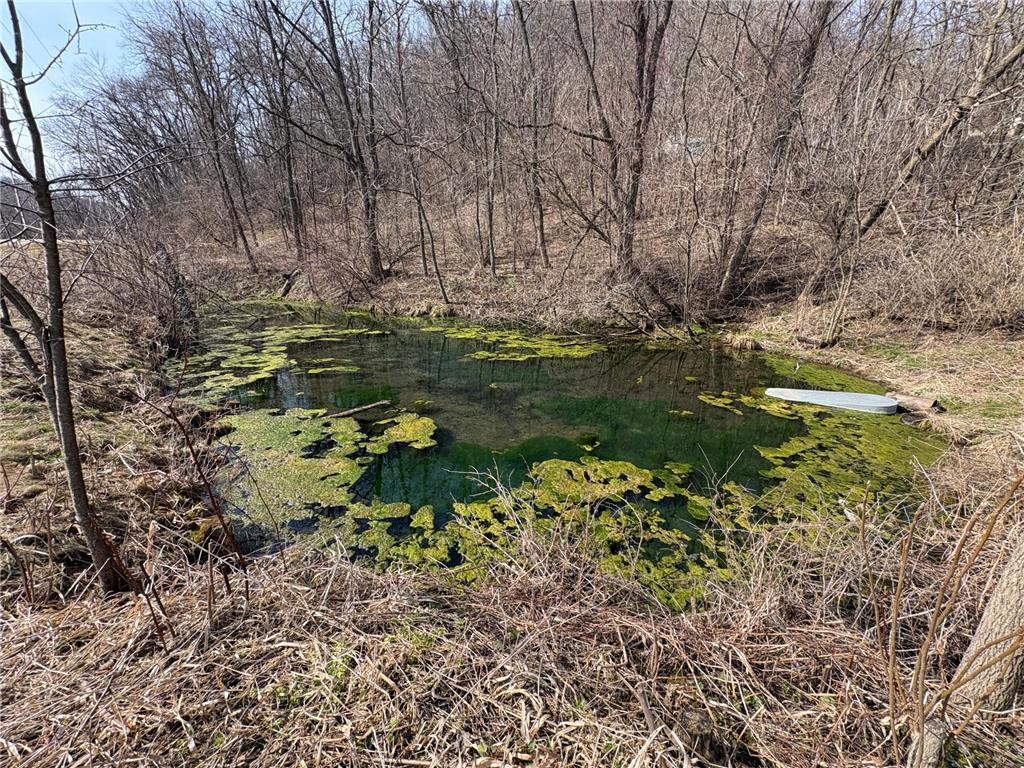 24345 E Burns Valley Road Wilson Twp MN 55987 7042659 image6