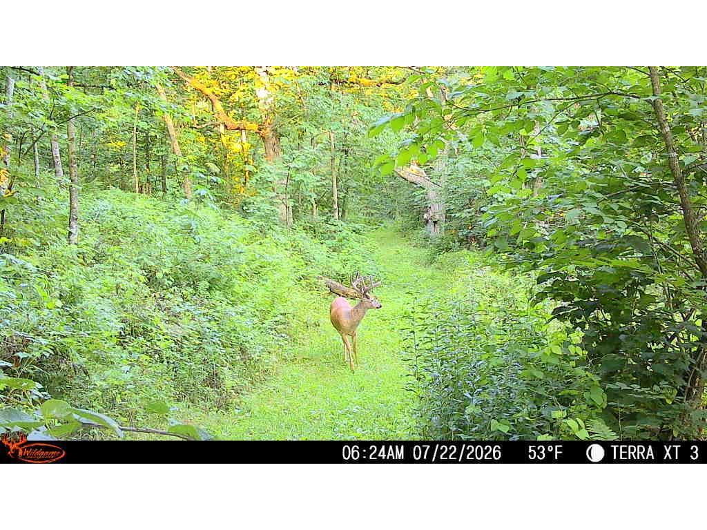 24345 E Burns Valley Road Wilson Twp MN 55987 7042659 image8