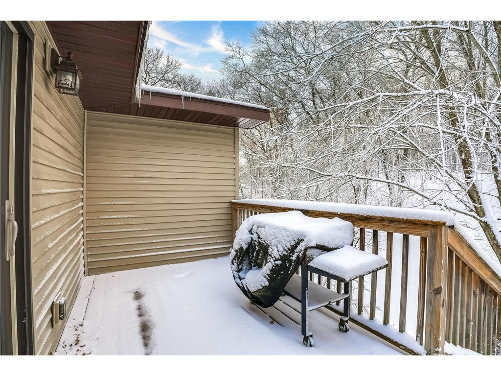 24350 165th Street NW Big Lake MN 55309 6822325 image7